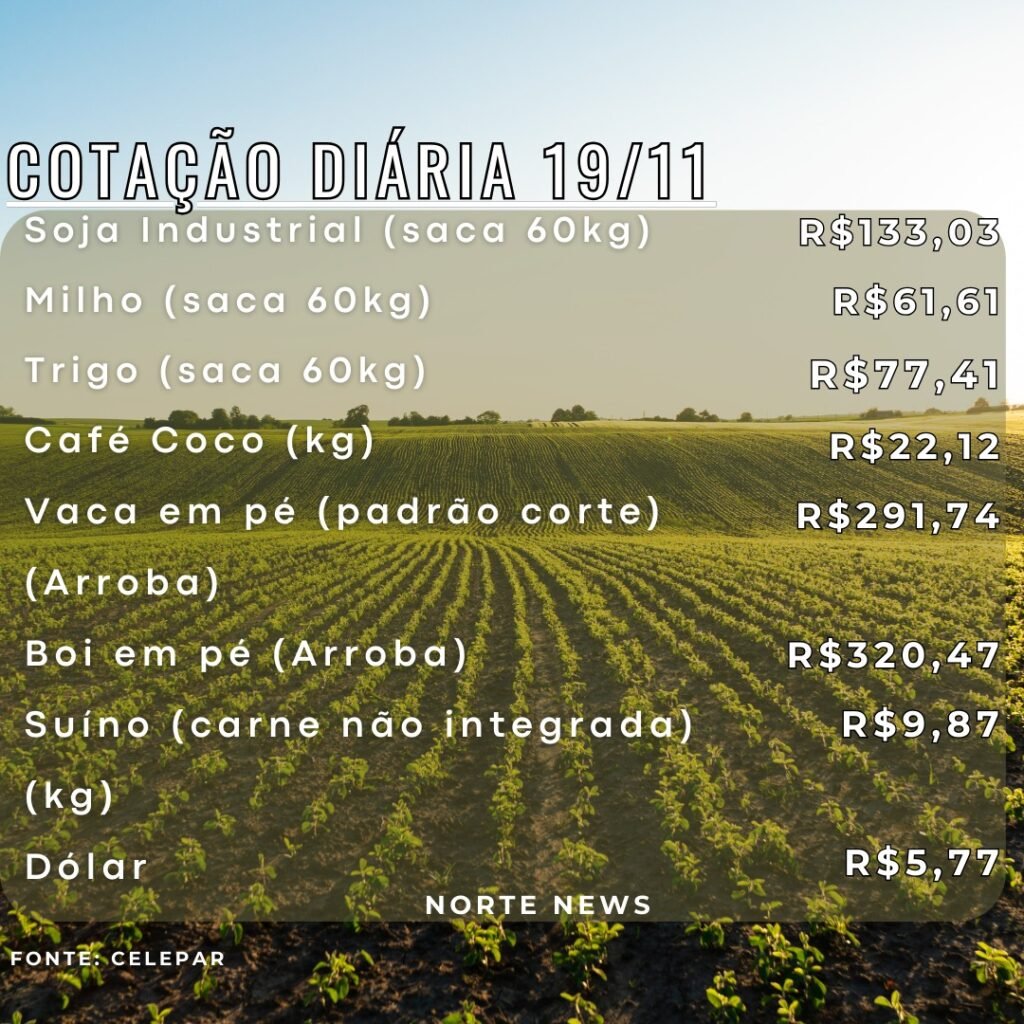 WhatsApp Image 2024-11-19 at 11.37.11