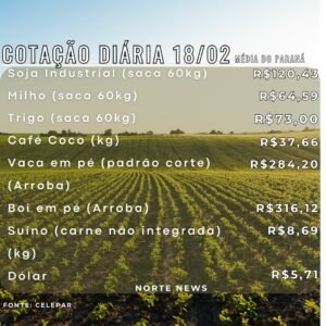 WhatsApp Image 2025-02-18 at 12.13.30