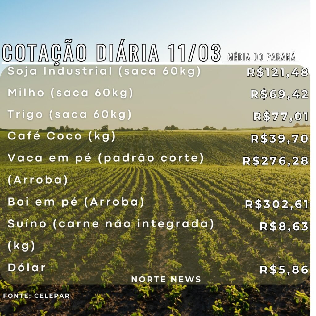 WhatsApp Image 2025-03-11 at 11.46.57