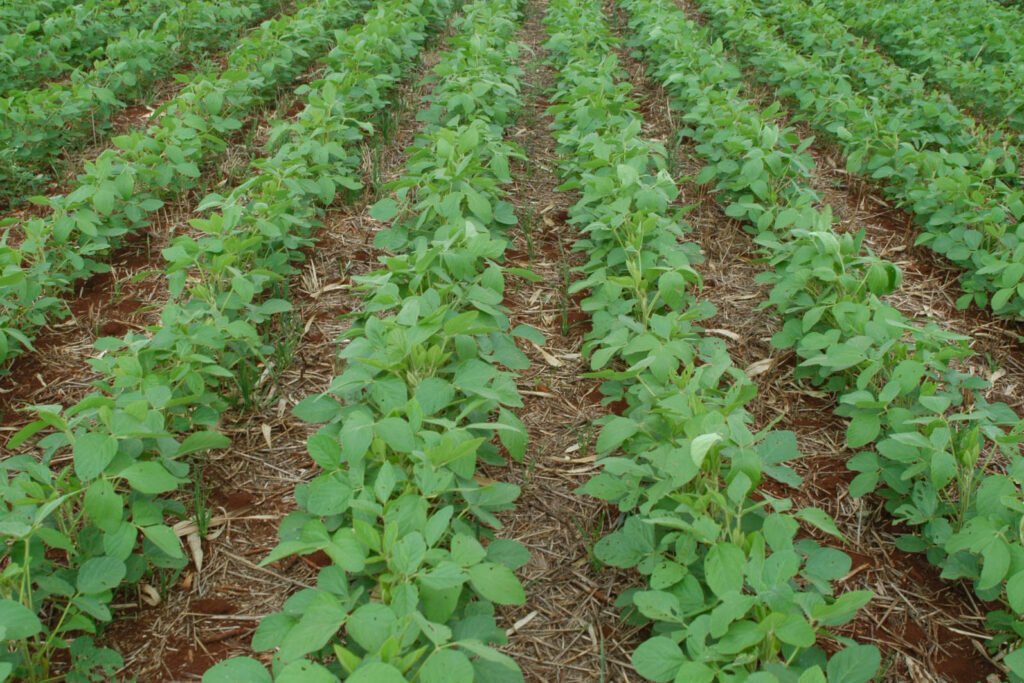 whatsapp_image_2025-05-07_at_16.08.37_2